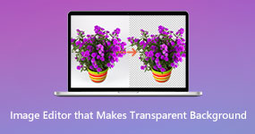 Image Editor That Make Transparent Background