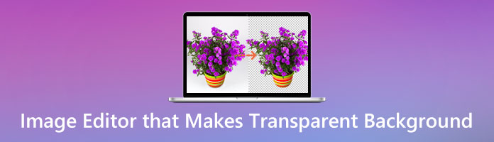 Image Editor That Make Transparent Background