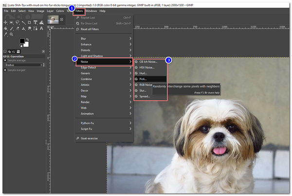 Eliminazione del rumore dell'immagine GIMP Selezionare Rumore