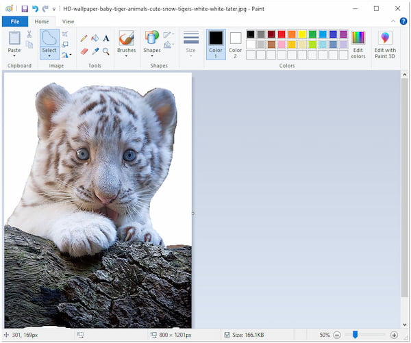 Make Background Transparent in Paint Delete
