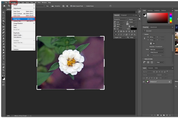 Dimensione dell'immagine di Adobe Photoshop