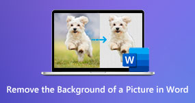 Remove Background from a Picture in Word