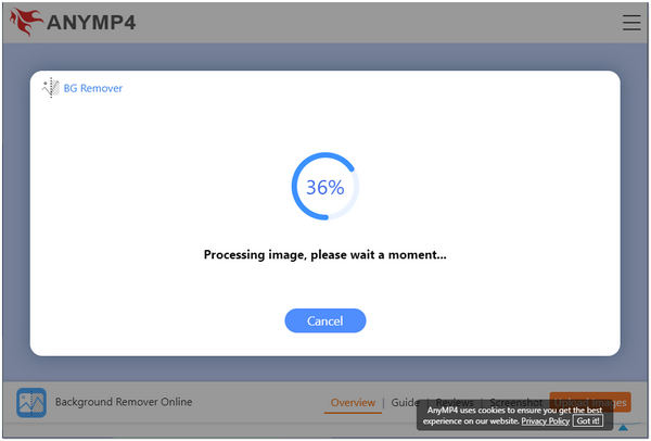 Rimuovi lo sfondo dall'immagine online Processo AnyMP4