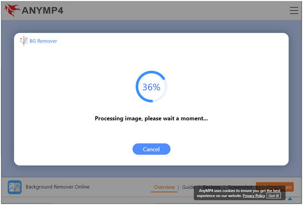 Çevrimiçi Görüntüden Arka Planı Kaldırma AnyMP4 İşlemi