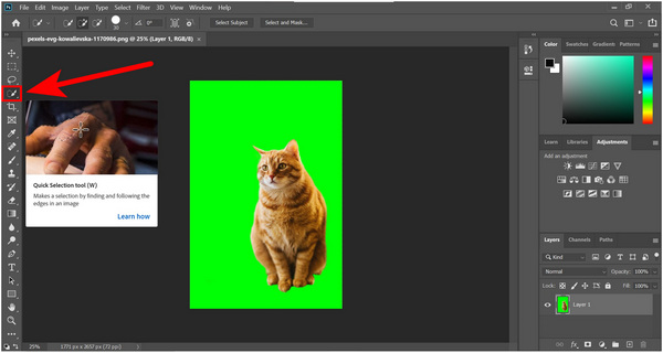 Photoshop-hulpmiddel voor snelle selectie