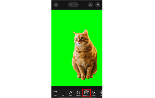 Picsart Editor