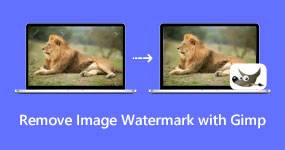 Remove Image Watermark with GIMP