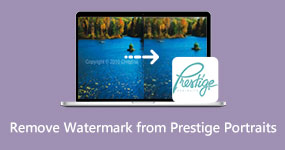 Ta bort Prestige Portraits Watermark