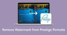 Fjern Prestige Portraits Watermark