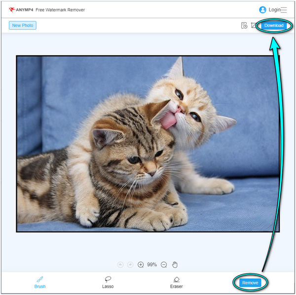 Remove Reddit Image Watermark AnyMP4 Download