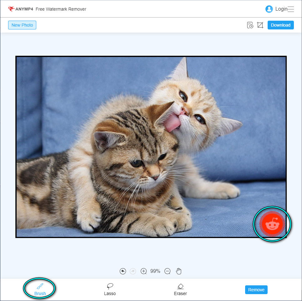 Odebrat Reddit Image Watermark AnyMP4 Highlight