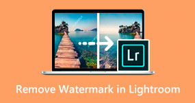 Remove Watermark in Lightroom