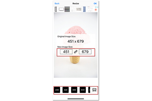 Resize It Set Measurements