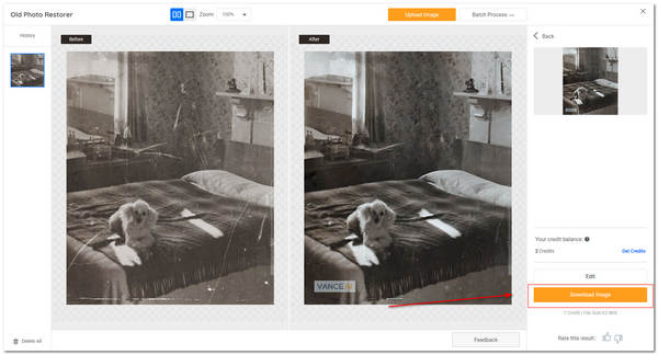 VanceAI Old Photo Restoration Download Image