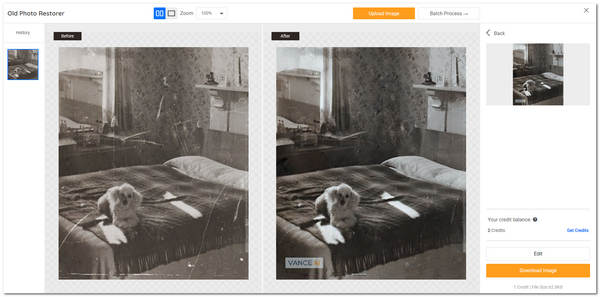 VanceAI Old Photo Restoration