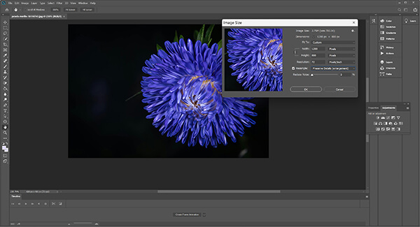 Adobe Photoshop Photo Enlarger