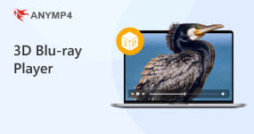 DAV File Player