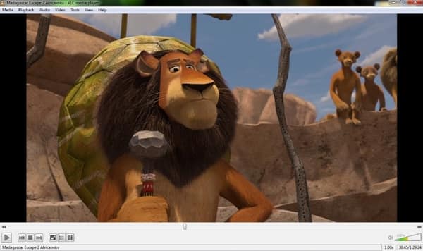 Vlc Media Player