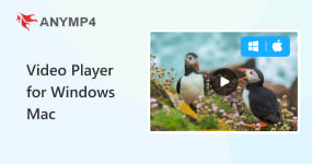 Best Video Player for Windows and Mac