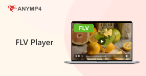 FLV player