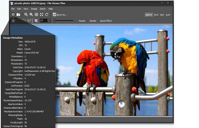 FileViewer Plus