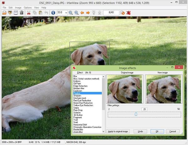 GIF Viewer Software for Windows: 6 Best in 2023