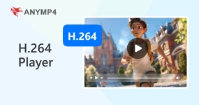H.264 Player