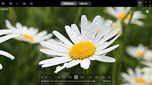 5KPlayer Net M3U8 Player