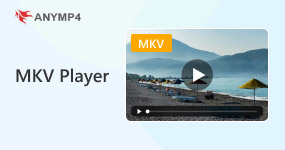 MKV-pelaajat