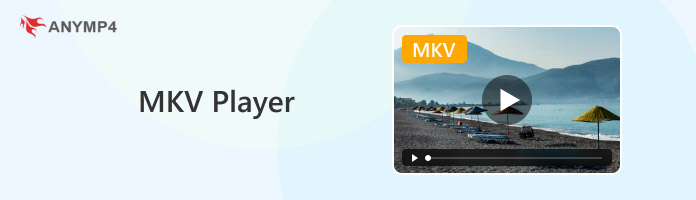 MKV-spelers