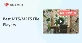 Reprodutor de arquivos MTS M2TS