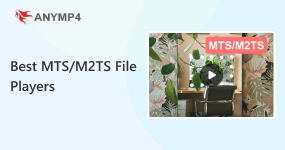 MTS M2TS File Player