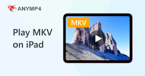 İPad'de MKV oynatın