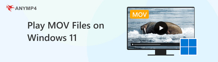 Play Mov On Windows 11