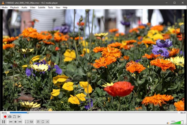 Play Mov In Vlc Media Player