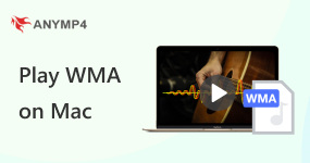 Воспроизведение WMA на Mac