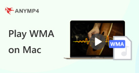 在 Mac 上播放 WMA