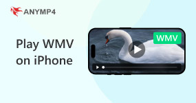 Riproduci WMV su iPhone