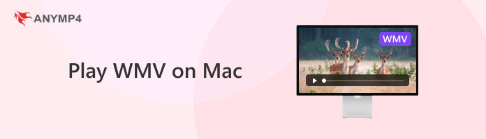 Играть в WMV на Mac