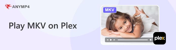 Plex Mkv