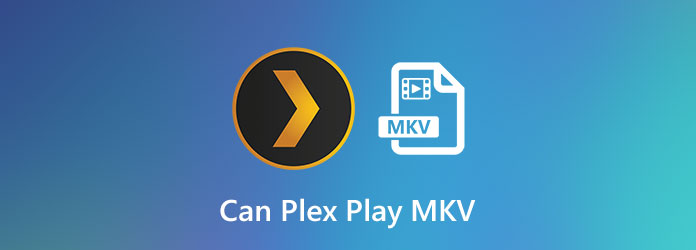Kan Plex spela MKV
