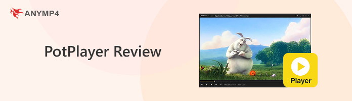 PotPlayer Review