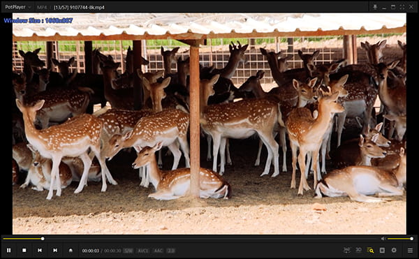 Play Video in PotPlayer