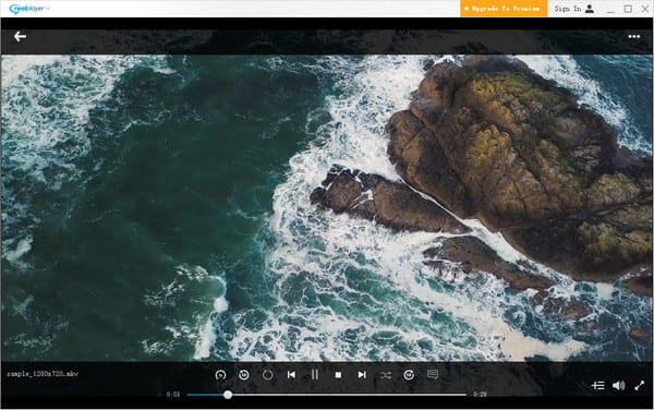 Realplayer Interface