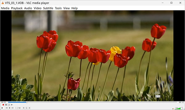 VLC Vob Oynatıcısı
