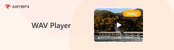 Wav Player