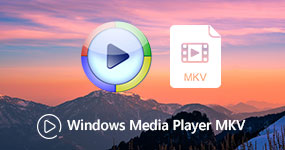 Riproduci file MKV in Windows Media Player