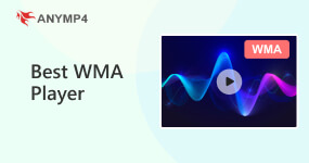 Музыкальный проигрыватель WMA