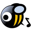 WMA Player MusicBee