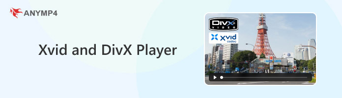 DivX y XviD Players